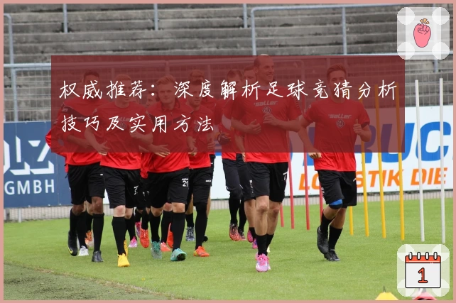 权威推荐：深度解析足球竞猜分析技巧及实用方法