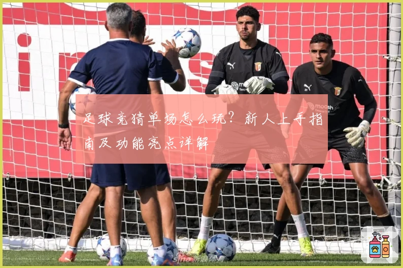 足球竞猜单场怎么玩？新人上手指南及功能亮点详解