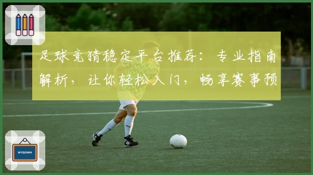 足球竞猜稳定平台推荐：专业指南解析，让你轻松入门，畅享赛事预测体验